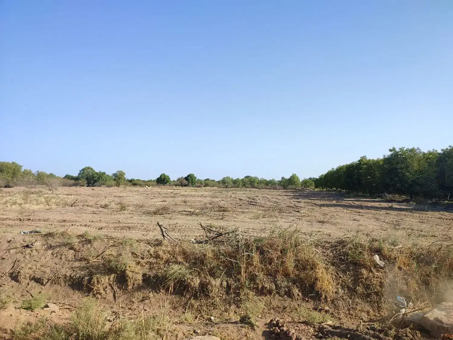 زمین زراعی|فروش دفتر صنعتی، کشاورزی، تجاری|اقبالیه, |دیوار