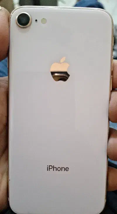 آیفون ۸|موبایل|تهران, شهرک دریا|دیوار