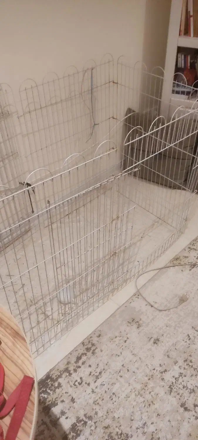 قفس خرگوش و حیوان خانگی|لوازم جانبی حیوانات|اهواز, کیانپارس |دیوار