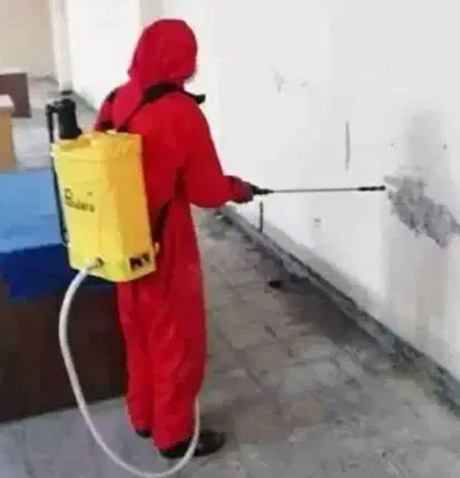 خدمات سمپاشی سم پاشی منزل تمامی حشرات|خدمات نظافت|خرمشهر, |دیوار