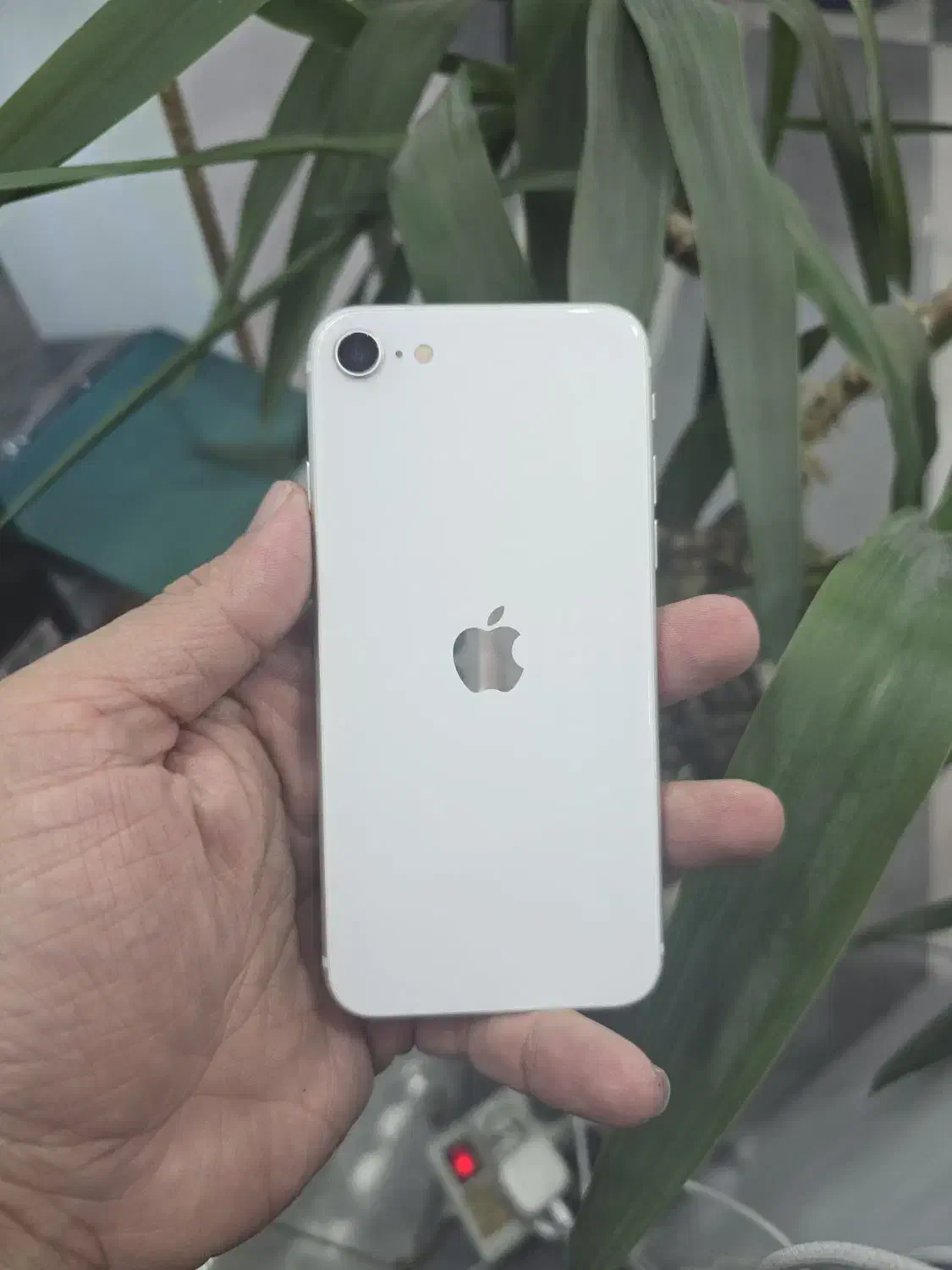 iphone se2020 128G|موبایل|رشت, لاکانی|دیوار