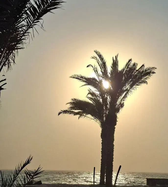 اجاره دفتر/160متر/ کلیدنخورده بر ساحل|اجارهٔ دفتر کار، اتاق اداری، مطب|بندر کنگان, |دیوار