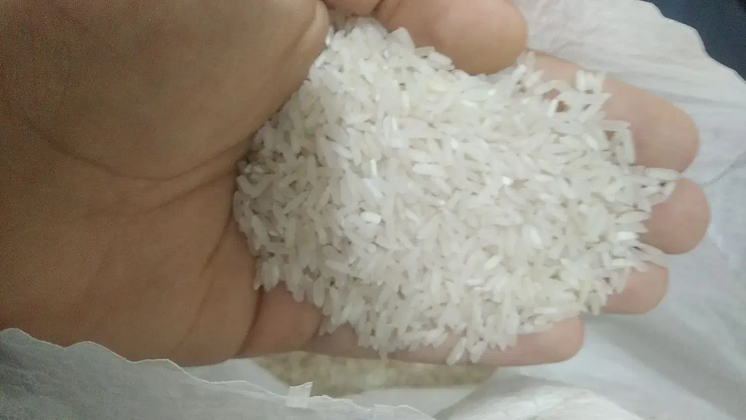 برنج طارم درجه 1|خوردنی و آشامیدنی|ساری, |دیوار