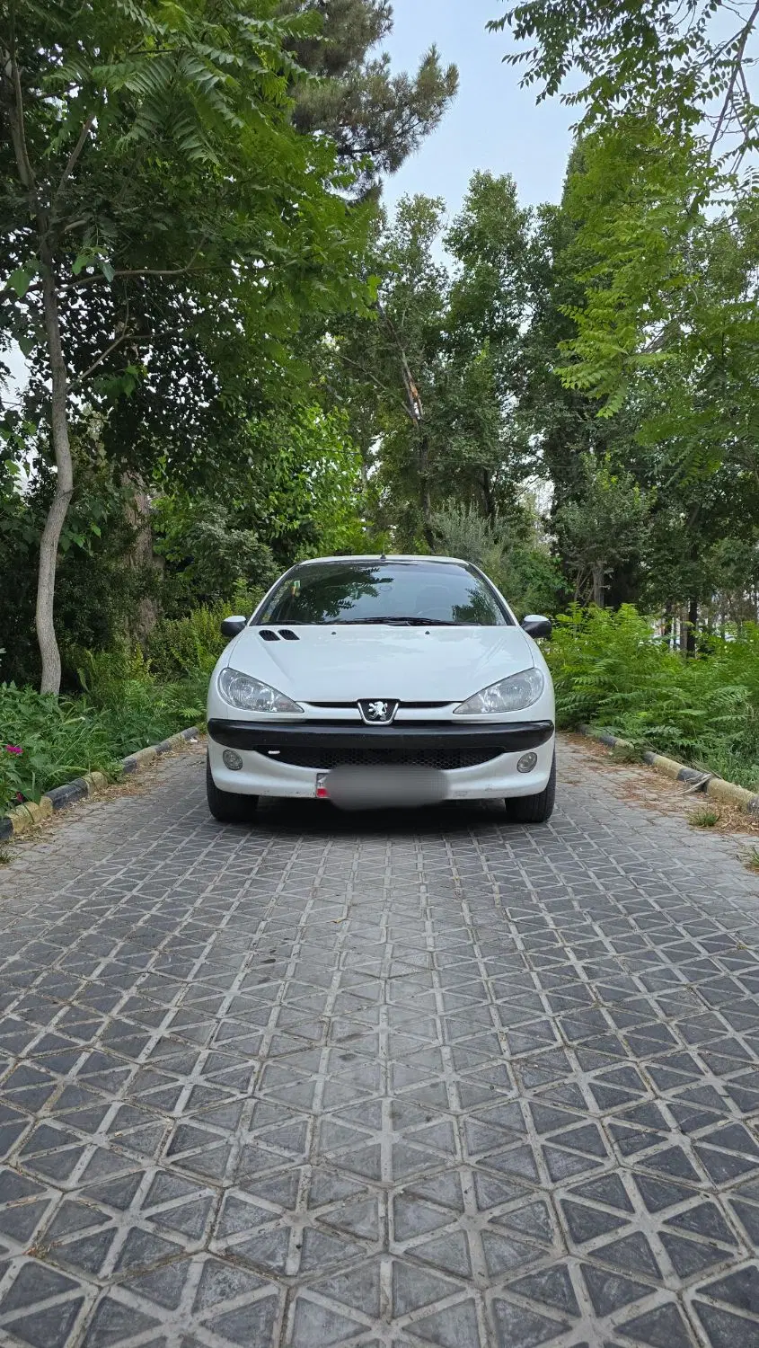 206 SD V8|خودرو سواری و وانت|فولادشهر, B7|دیوار