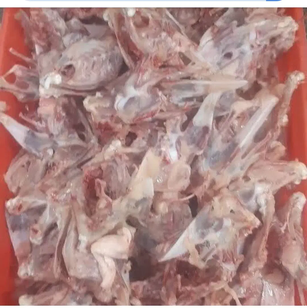 آشغال گوشت و ضایعات مرغ برای سگ وگربه|لوازم جانبی حیوانات|سبزوار, قاضی زاد|دیوار