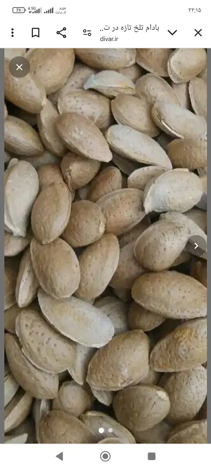 بادام تلخ|خوردنی و آشامیدنی|تهران, حکیمیه|دیوار