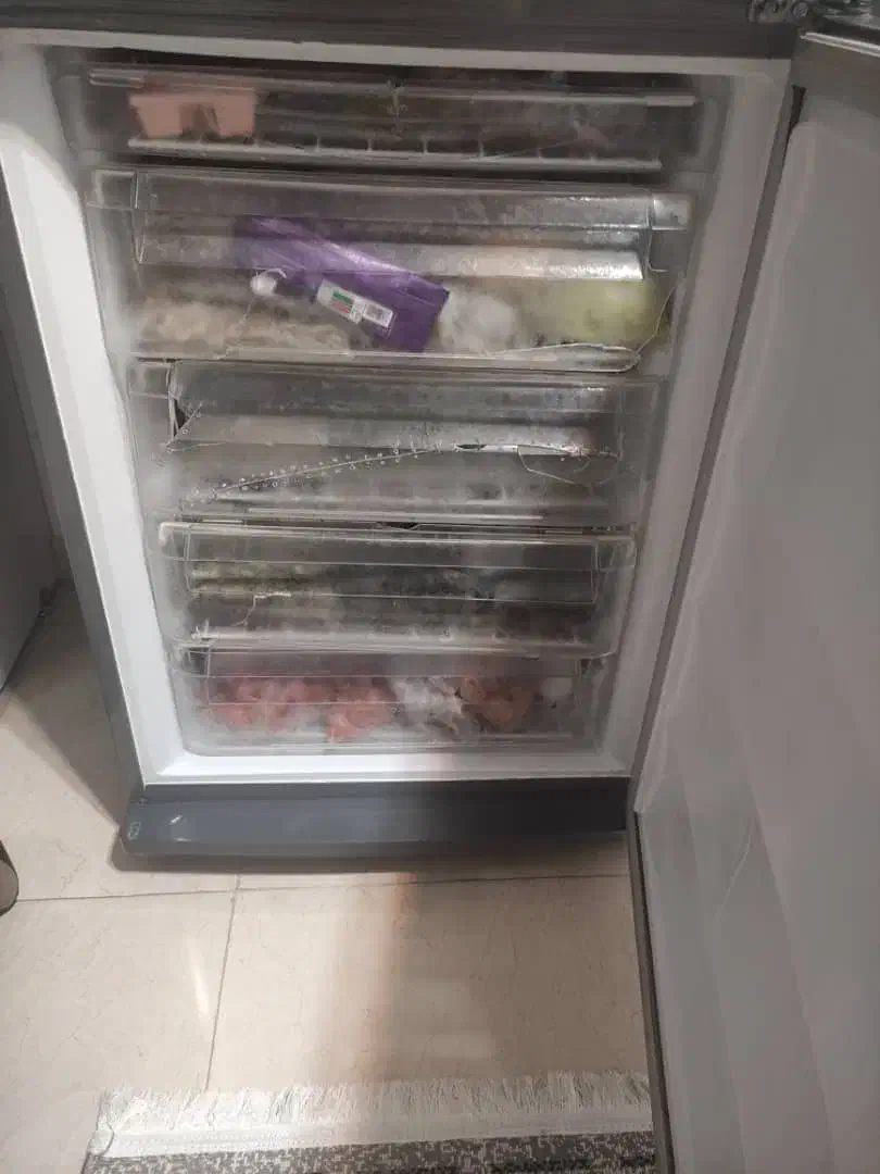 یخچال سینور|یخچال و فریزر|رشت, معلولین|دیوار