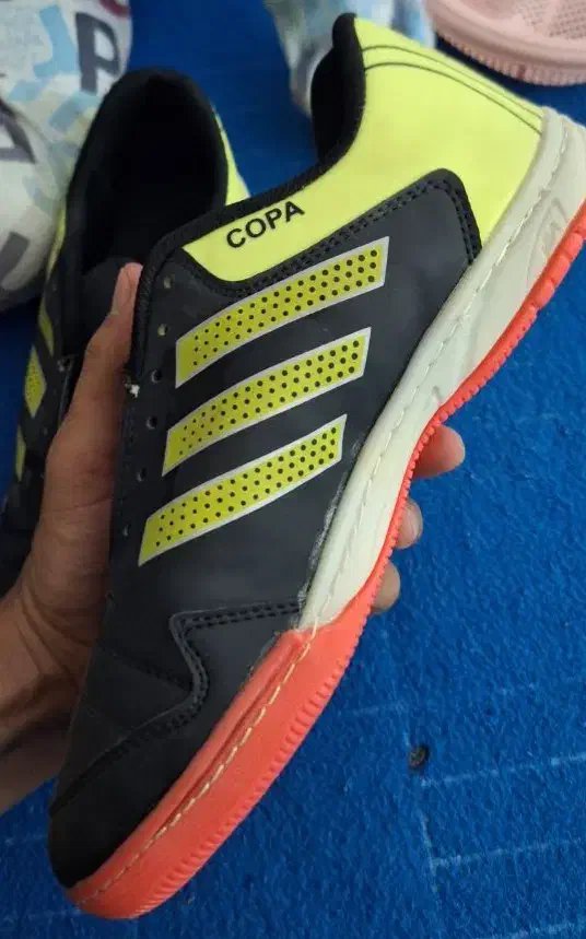 کفش فوتسال|کیف، کفش، کمربند|زابل, |دیوار