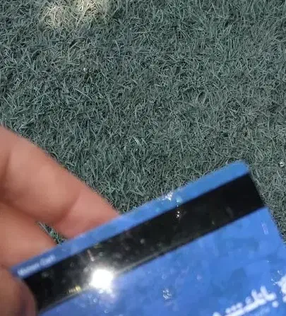 مدارک گم شده|اشیا|نسیم‌شهر, |دیوار