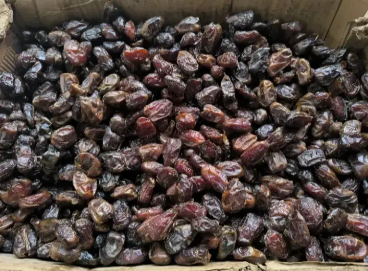 فروش خرما دشتستان|خوردنی و آشامیدنی|شیراز, شهرک امیر کبیر|دیوار