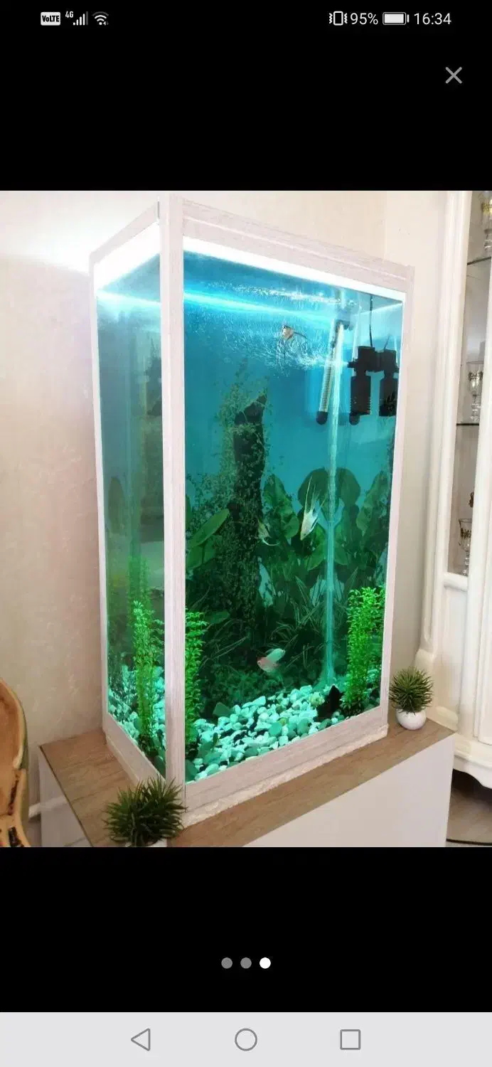 آکواریوم|ماهی|تبریز, |دیوار