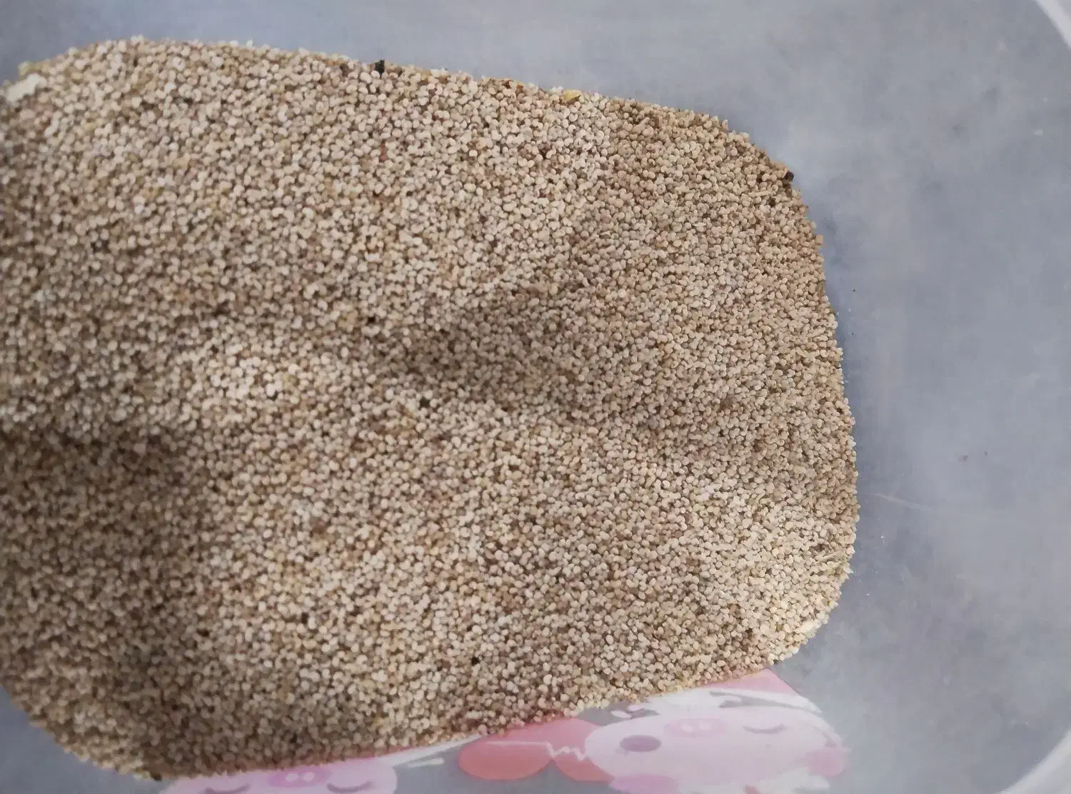 بذر مخصوص شاهیوند|گل و گیاه طبیعی|خرم‌آباد, |دیوار