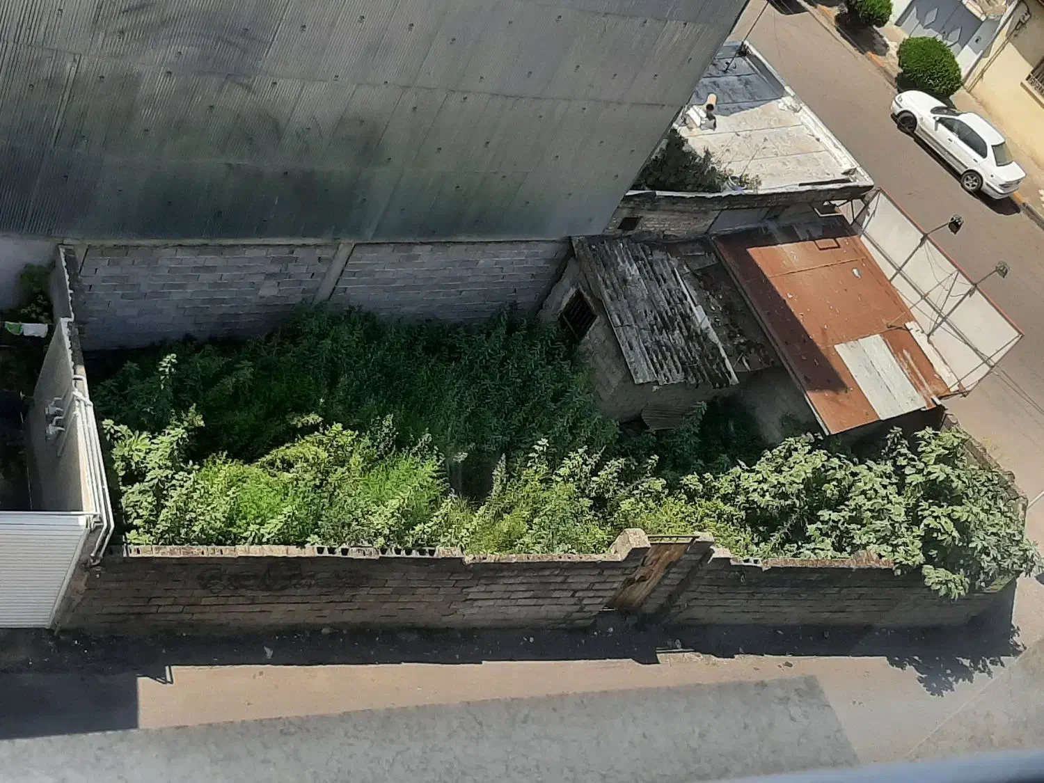 فروش فوری زمین ۱۱۰ متری بعلت مهاجرت|فروش زمین و ملک کلنگی|لاهیجان, قیام|دیوار