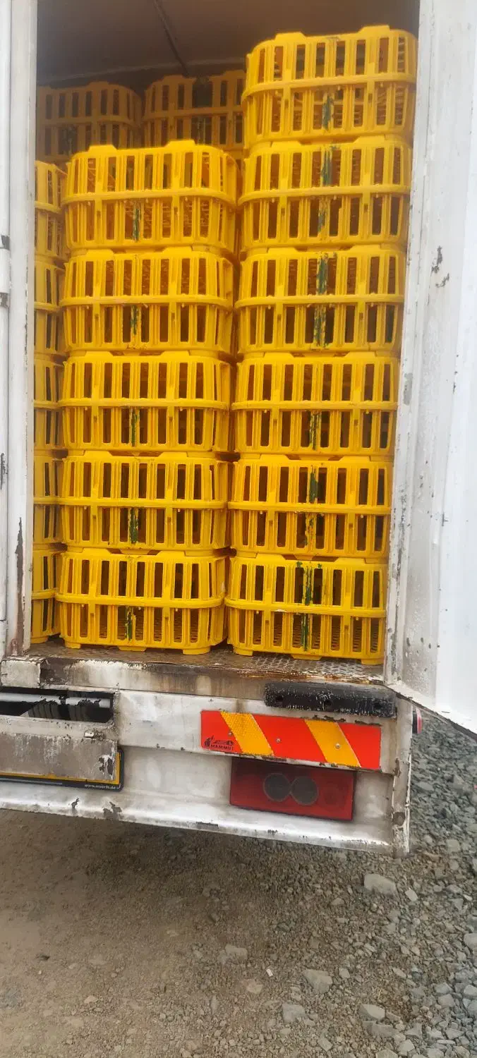 جک الوند ایسوزو|خودرو سنگین|بوکان, |دیوار