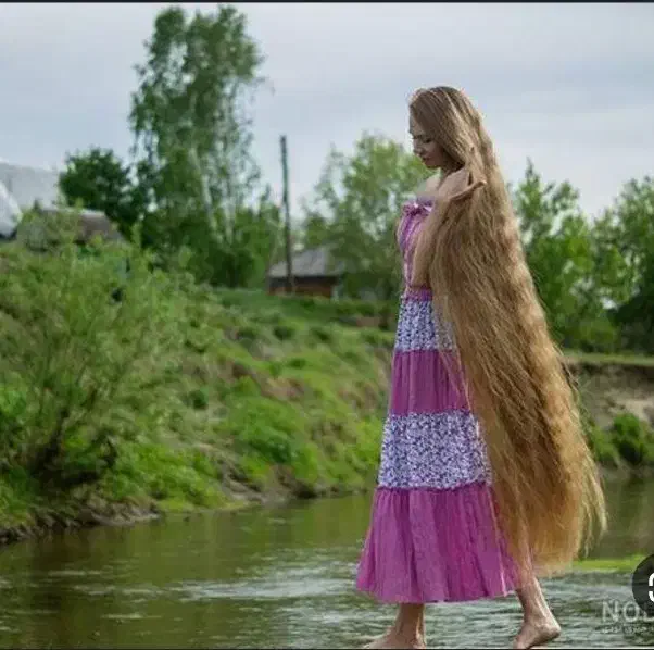 موی بلند|خدمات آرایشگری و زیبایی|الوند, |دیوار