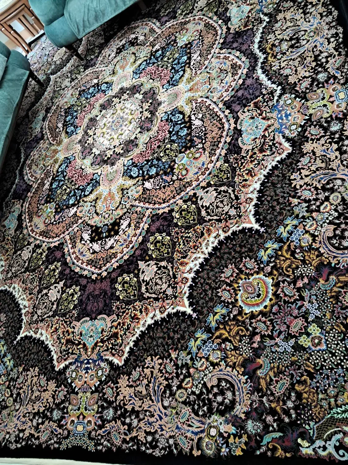 فرش پاتریس ۱۲ متری|فرش|رشت, نامجو|دیوار