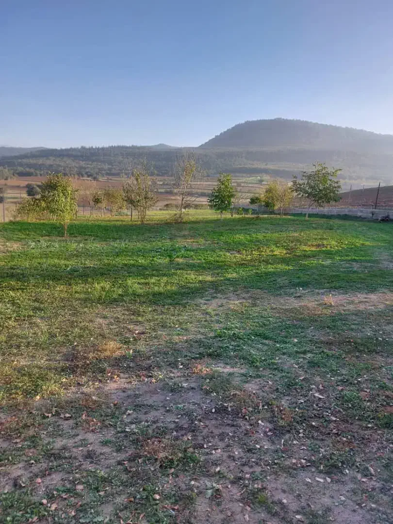 5 هزار متر باغچه ییلاقی به قیمت کاسبی (دودانگه)|فروش زمین و ملک کلنگی|فریم, |دیوار