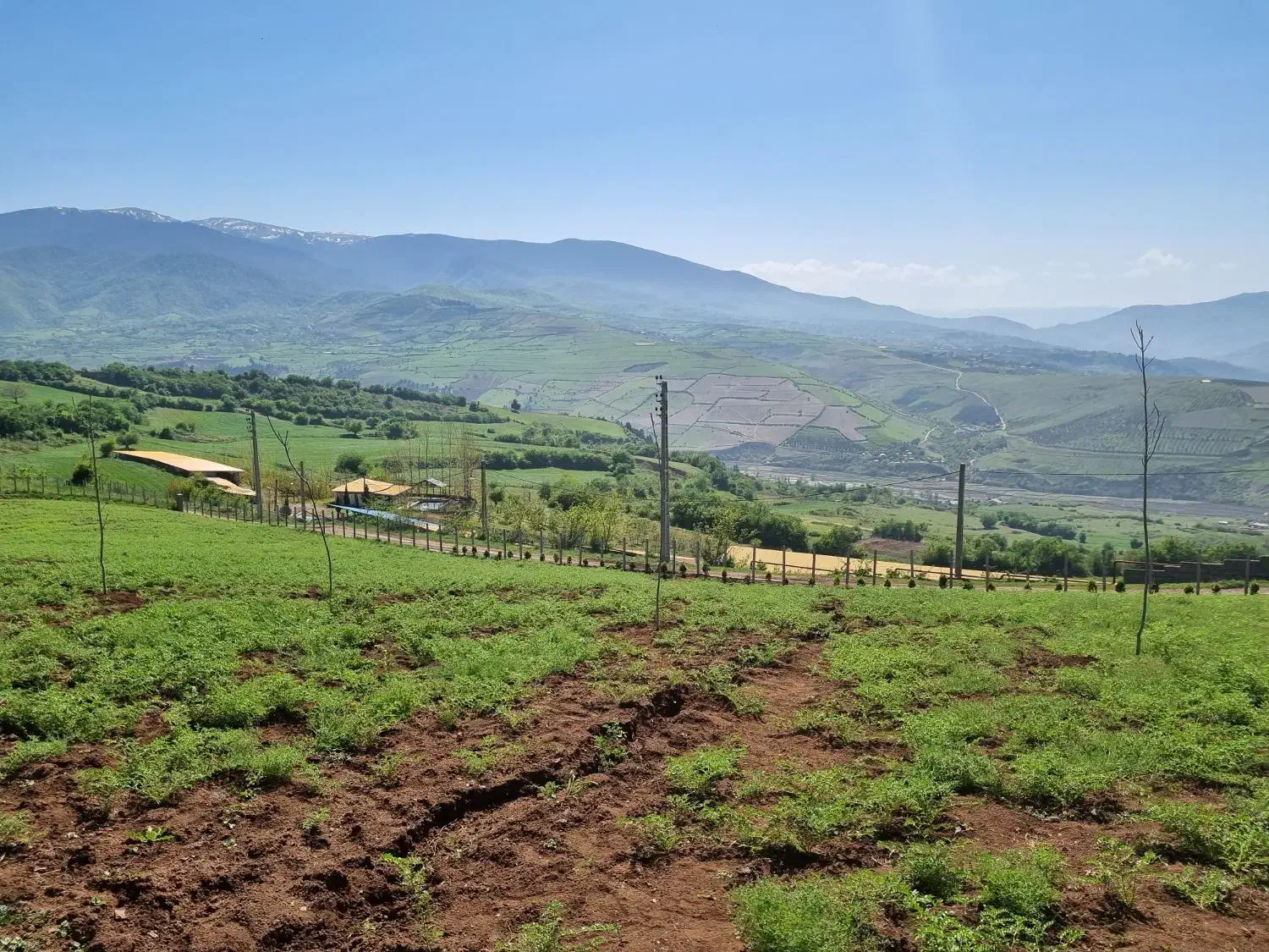 زمین با کاربری باغی|فروش زمین و ملک کلنگی|توتکابن, |دیوار