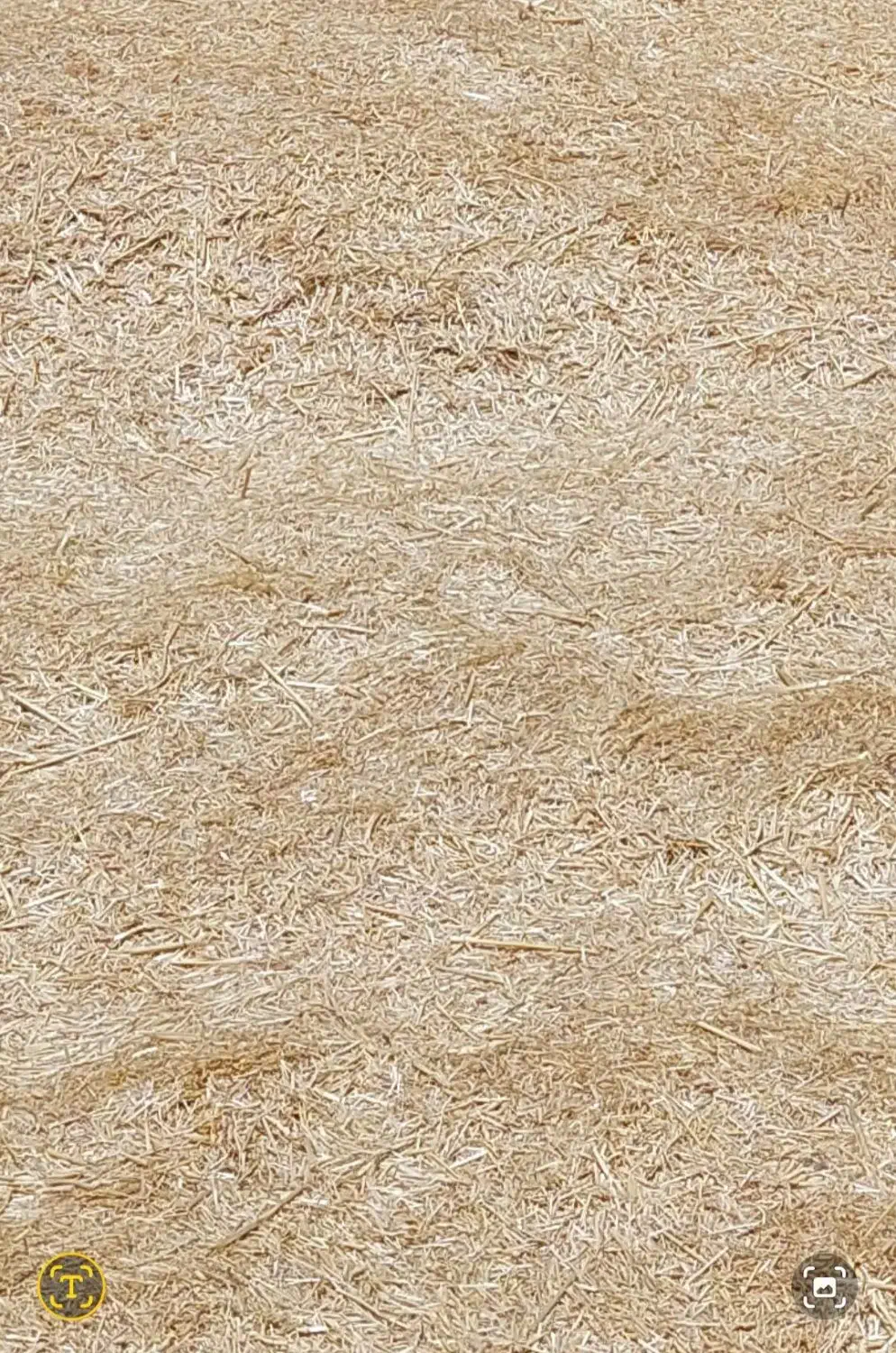 کاه گندم آبی|خدمات باغبانی و درختکاری|دشتابی, |دیوار