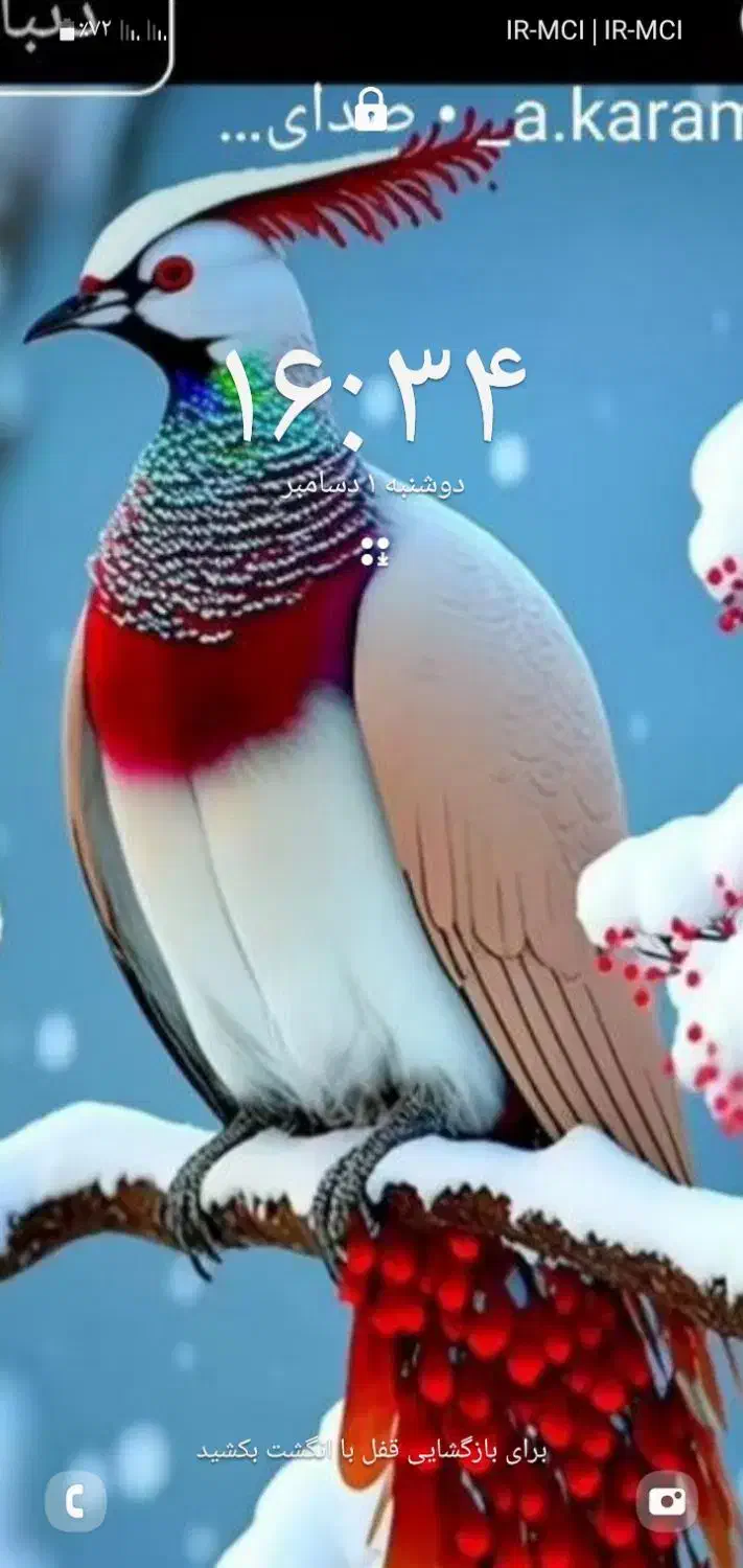 خروس|حیوانات مزرعه|کوهدشت, |دیوار