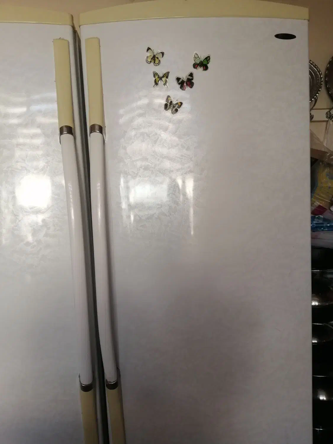 یخچال فریزر دوقلو|یخچال و فریزر|مشهد, تربیت (صدف)|دیوار