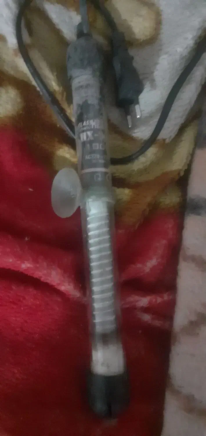 تعویض|ماهی|کرمانشاه, |دیوار