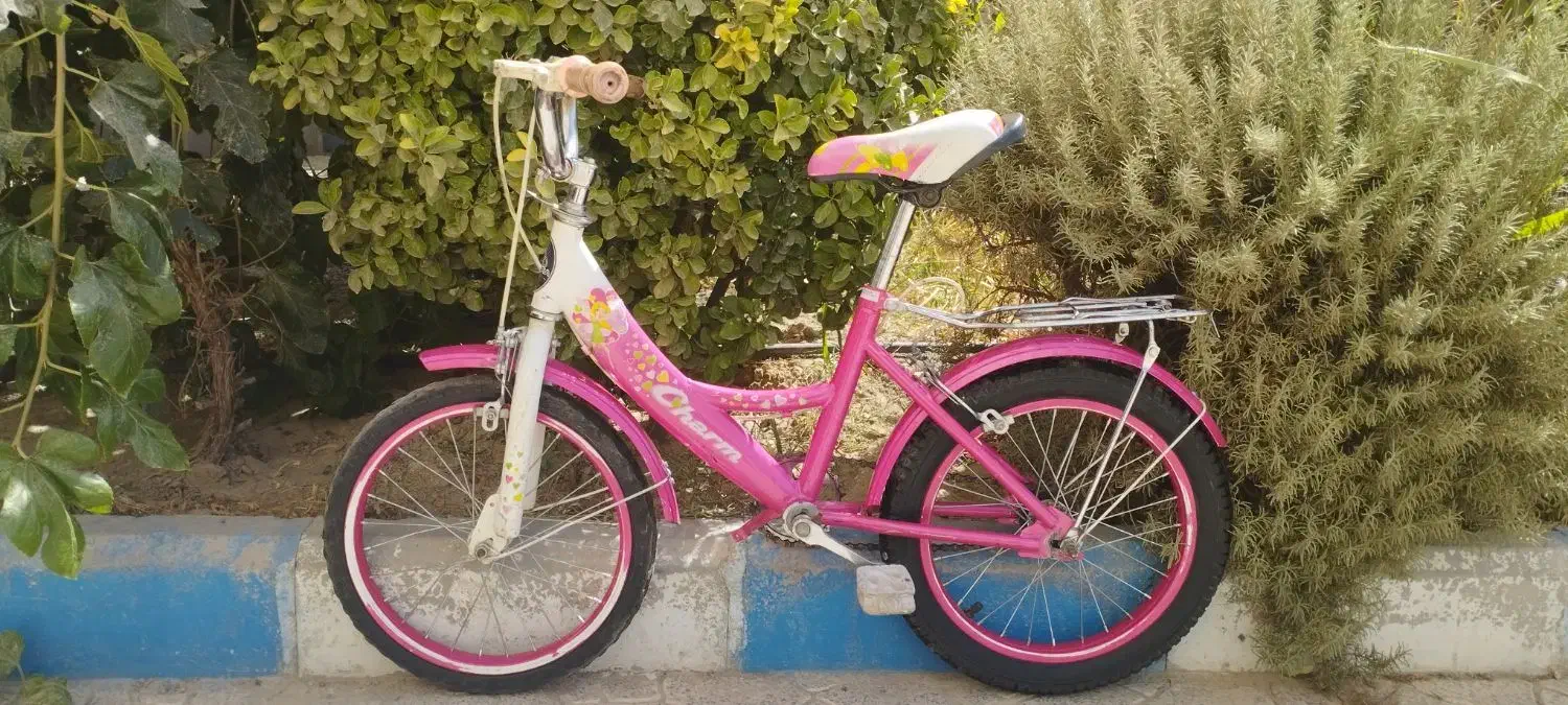 دوچرخه دخترانه و موتور سه چرخ شارژی|دوچرخه، اسکیت، اسکوتر|فردیس, نگارستان|دیوار