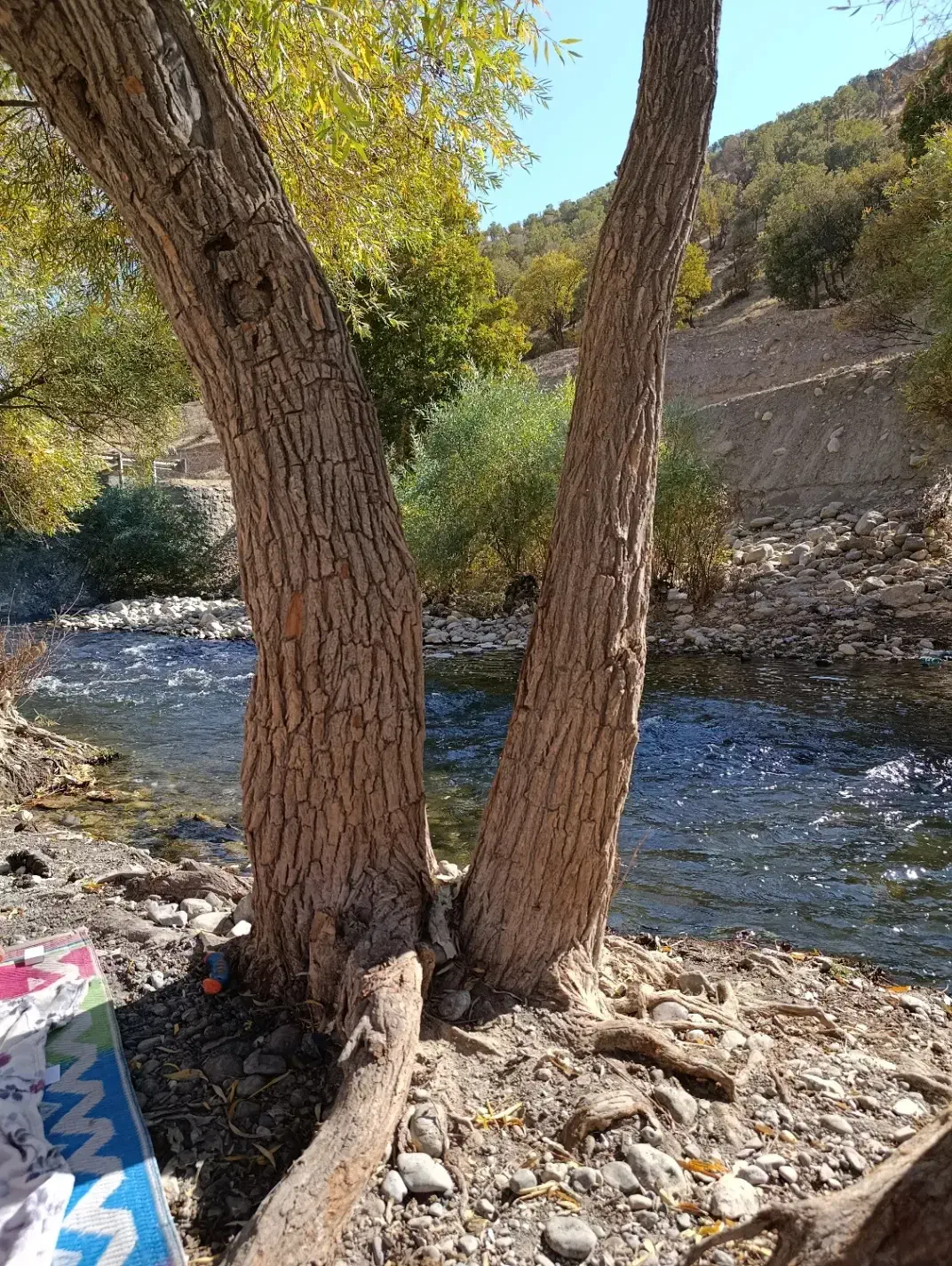 زمین گلستان|فروش زمین و ملک کلنگی|دورود, |دیوار