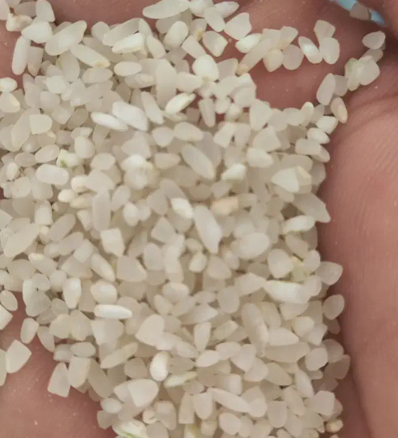 برنج خورده برنج و خورده اشی کامفیروز|عمدهفروشی|کامفیروز, |دیوار