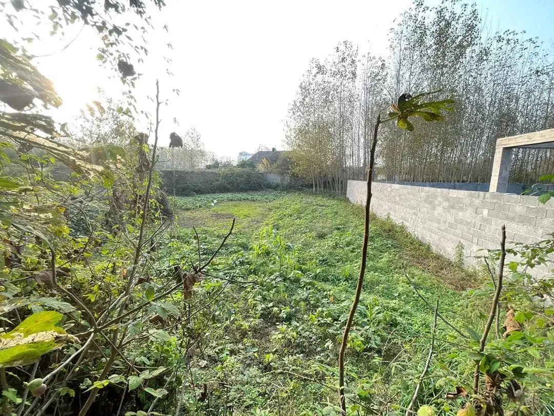 فروش خونه باغ ۷۶۰ متری در صومعه سرا|فروش خانه و ویلا|رشت, حافظ آباد|دیوار