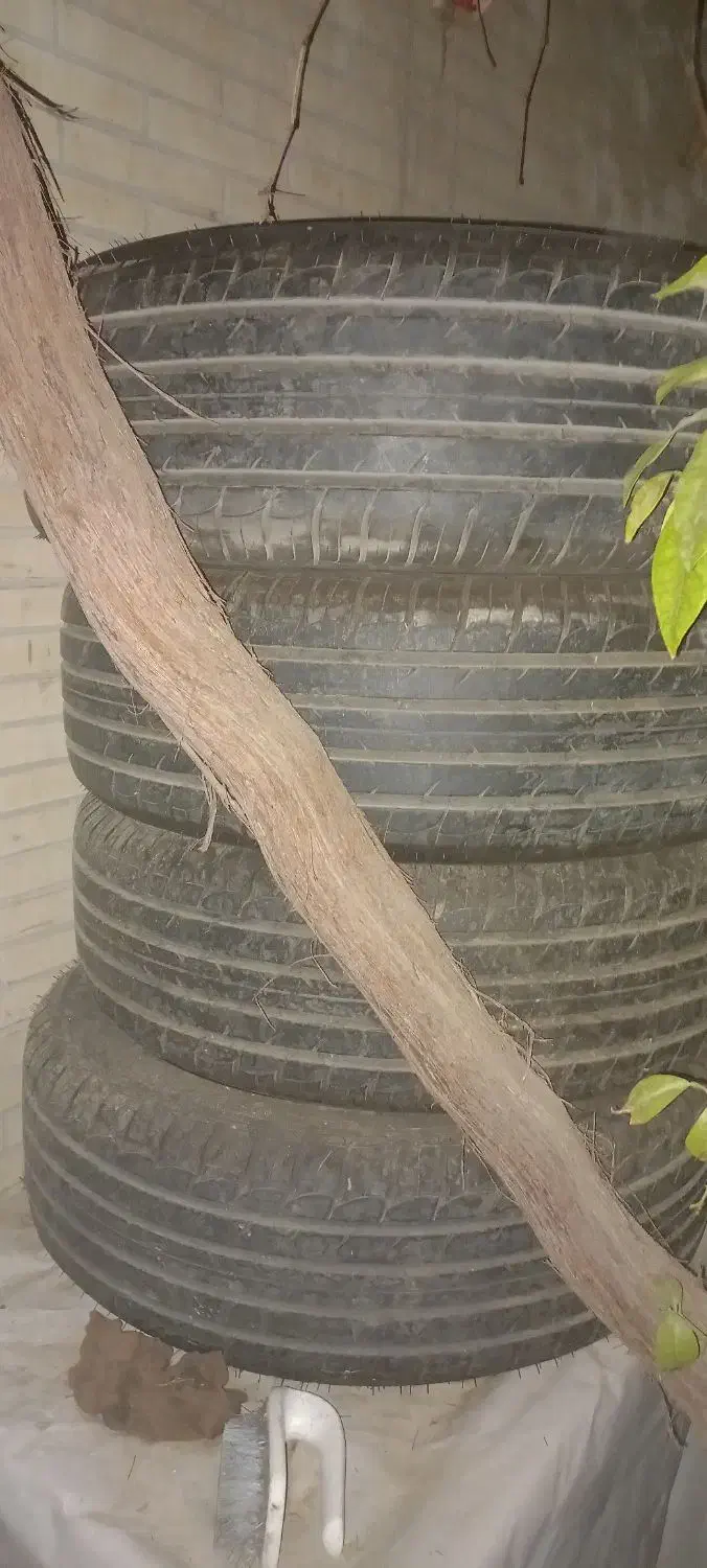 لاستیک ماشین فونیکس صفر|قطعات یدکی و لوازم جانبی|حمیدیا, |دیوار