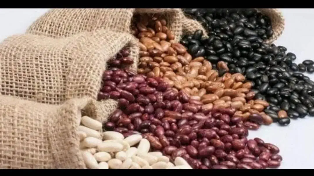 عنبربو ۱۹۵۰ هاشمی ۲۸۵وعدس ونخود۱۲۵ لوبیا چیتی۳۸۰|خوردنی و آشامیدنی|تهران, سلیمانی|دیوار