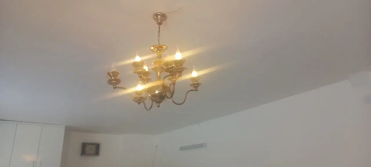 لوستر شاخه نباتی|لوستر و چراغ آویز|نیشابور, دارایی|دیوار