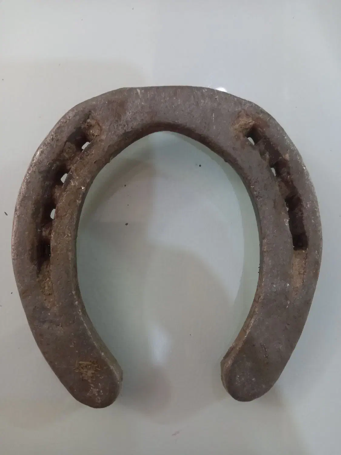 نعل کارکرده تضمینی|اسب و تجهیزات اسبسواری|مشهد, سازمان آب|دیوار