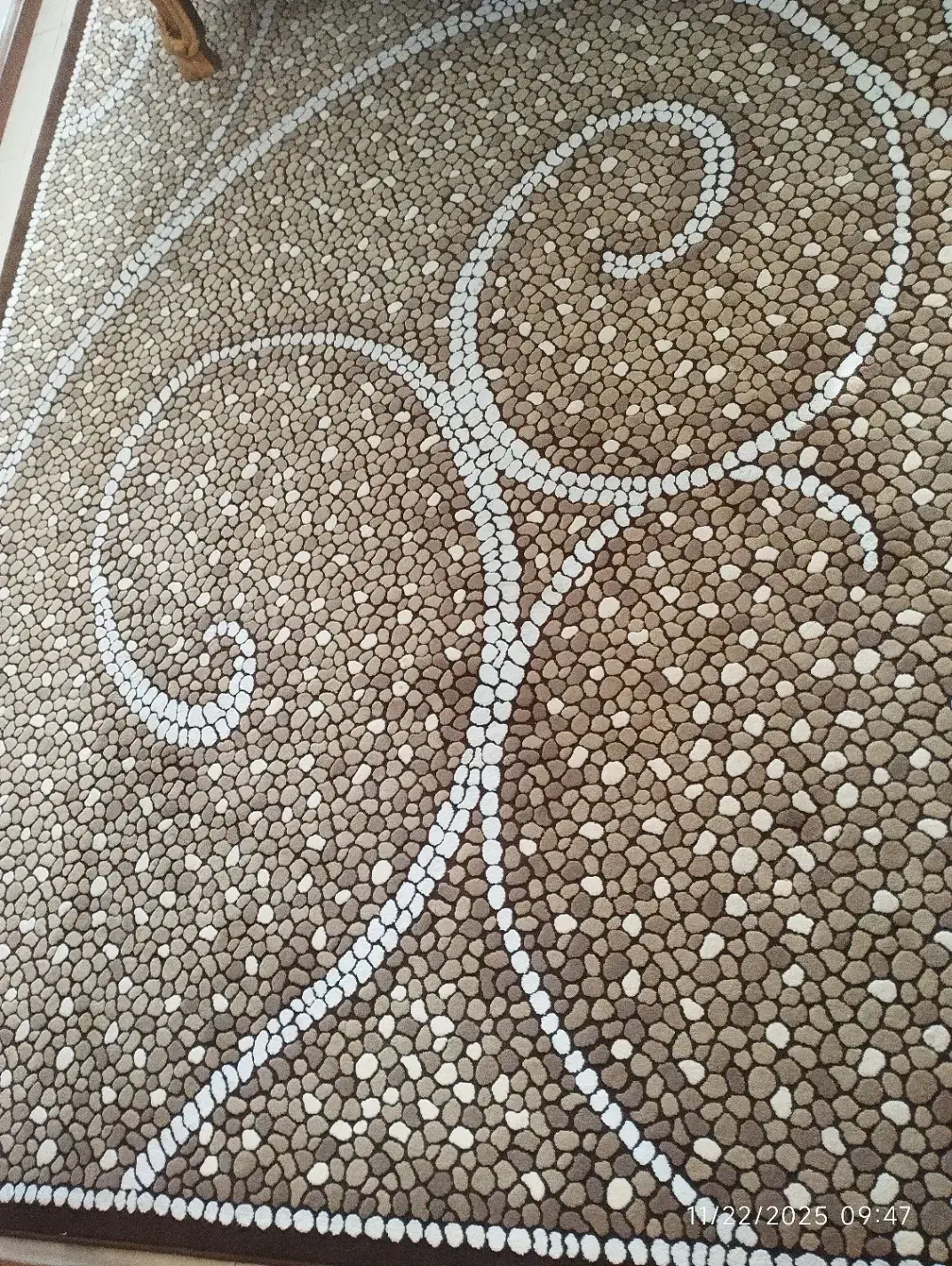 فرش شش متری|فرش|رشت, گلسار|دیوار