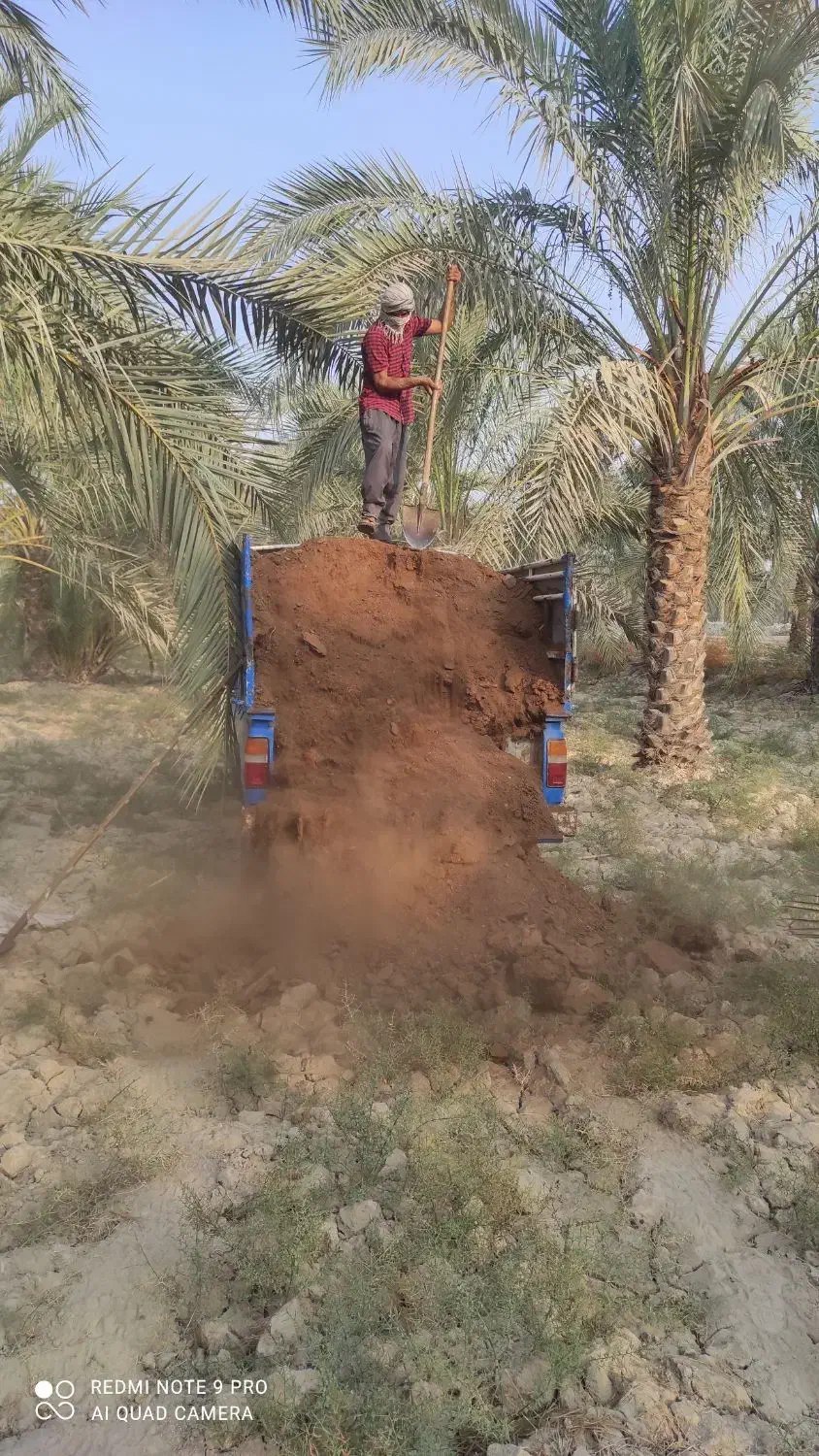 کود حیوانی تحویل آبپخش و حومه|خدمات باغبانی و درختکاری|آبپخش, |دیوار