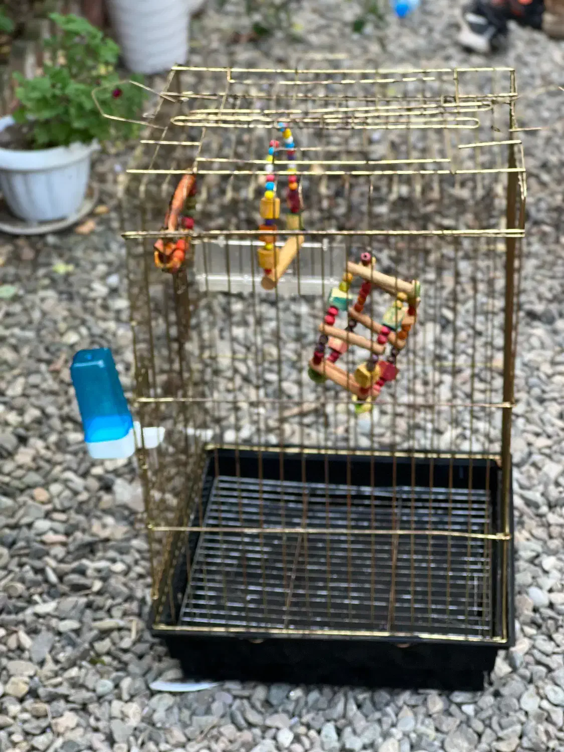 قفس کاسکو با لوازم|لوازم جانبی حیوانات|فومن, |دیوار