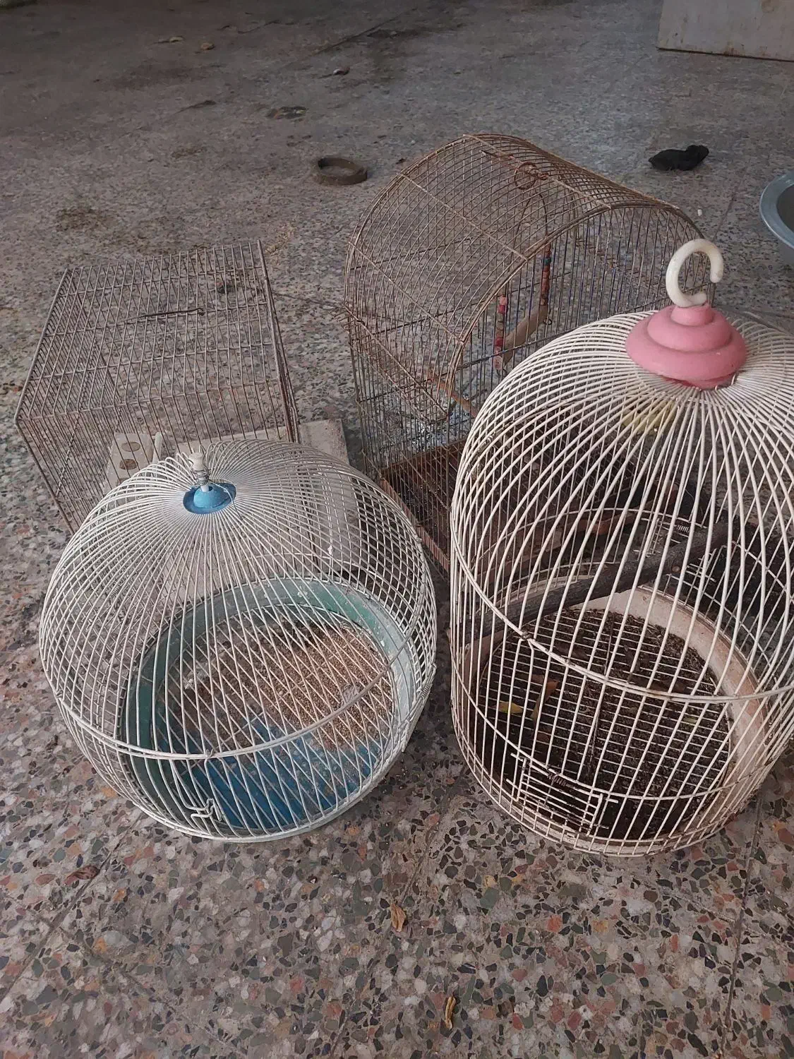 قفس پرنده|لوازم جانبی حیوانات|رشت, گلزاران|دیوار