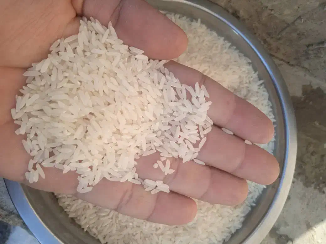 واردات عمده برنج از مرز باشماق|خوردنی و آشامیدنی|تهران, اتحاد|دیوار