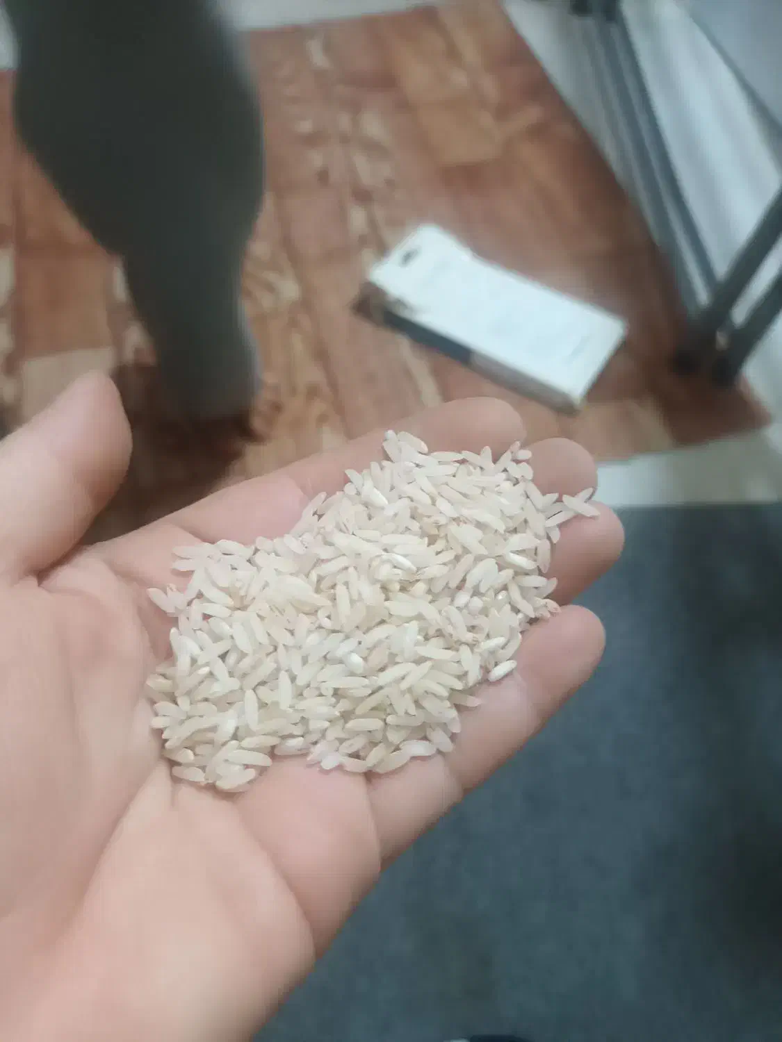 برنج طارم هاشمی خالص اصلا قاطی نداره|خوردنی و آشامیدنی|آمل, |دیوار