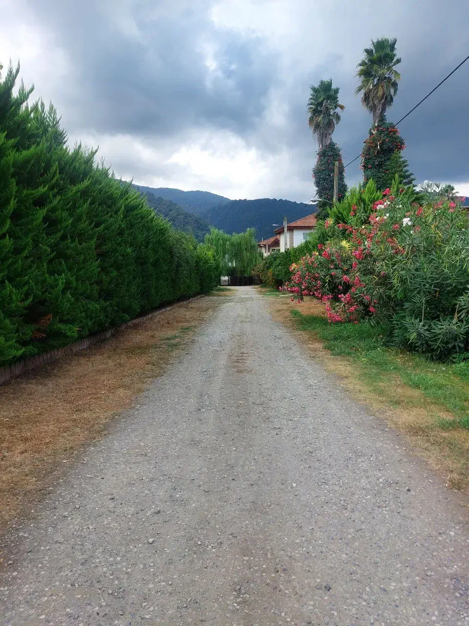 ۱۰۰۰مترزمین/با قابلیت تفکیک/شهرک پشتوان(کاسبی)|فروش زمین و ملک کلنگی|نوشهر, |دیوار