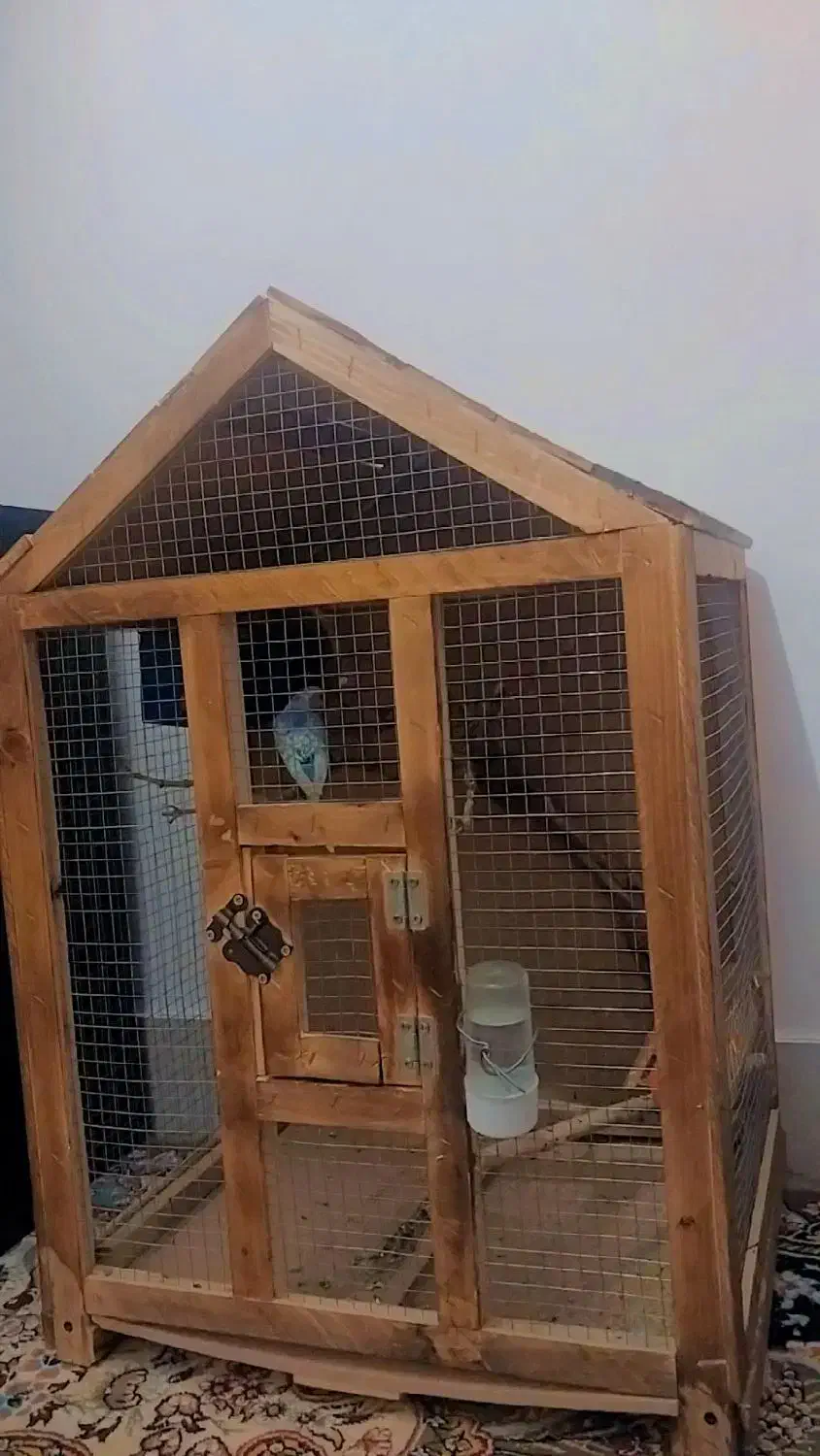 قفس کلبه ای چوبی|لوازم جانبی حیوانات|بردسکن, |دیوار