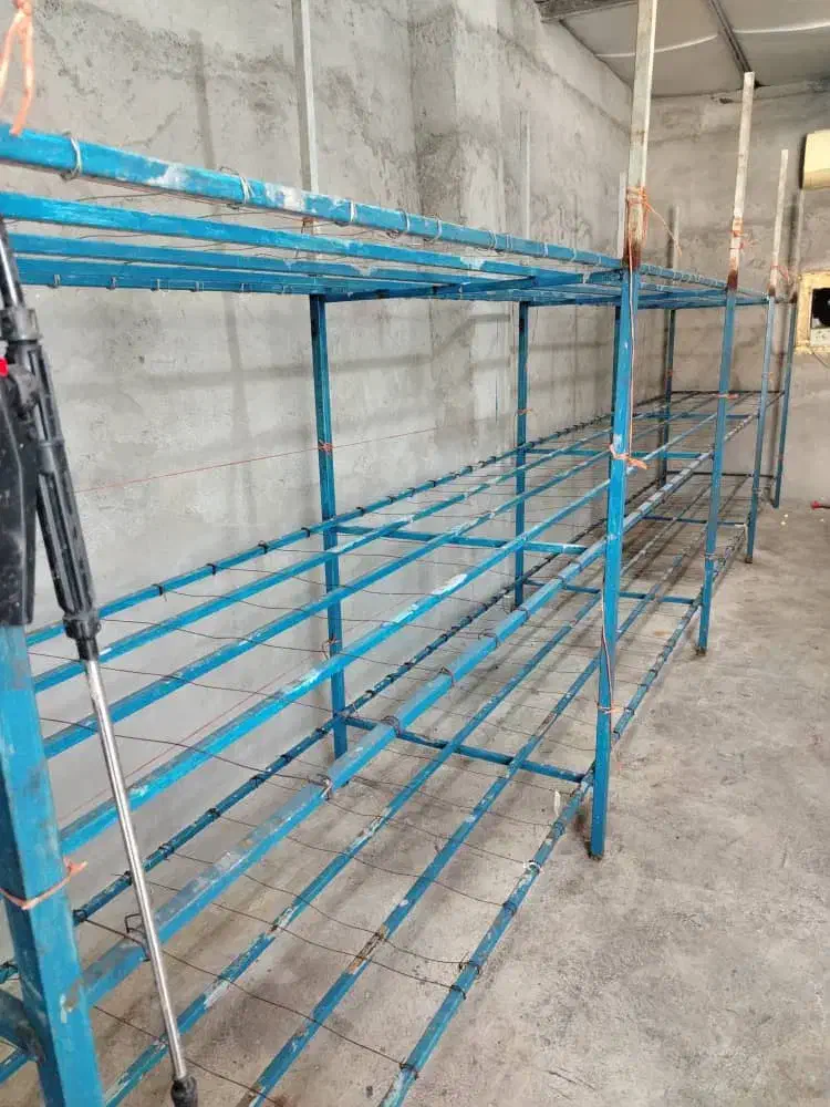 طبقه بندی قارج|فروشگاه و مغازه|بوشهر, |دیوار