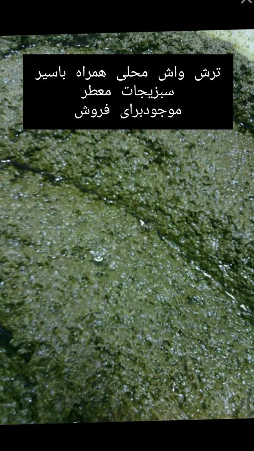 ترش واش وقرمه تفت داده|خوردنی و آشامیدنی|شلمان, |دیوار