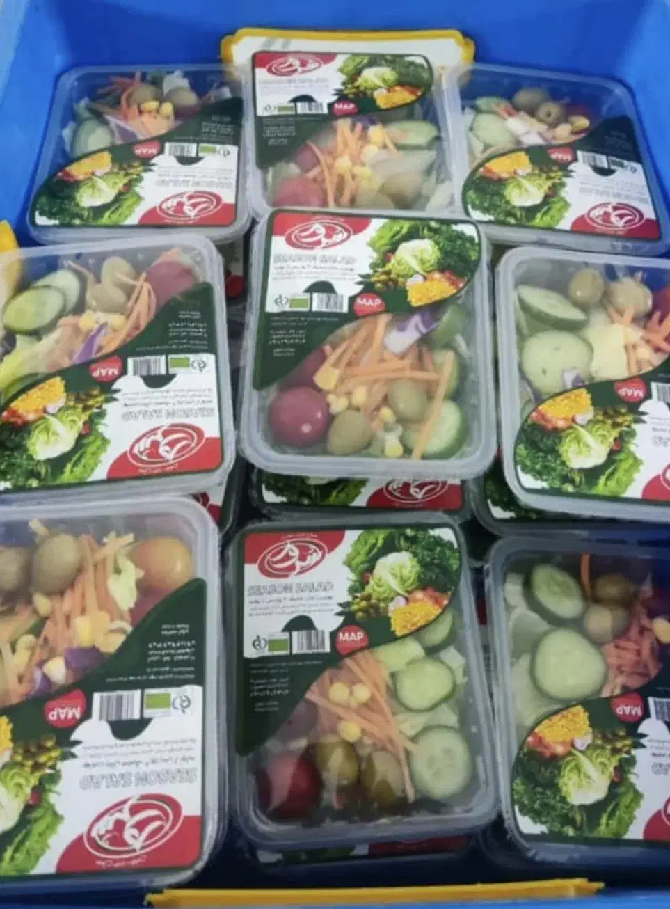 پخش سالادفصل و سبزی/ با مناسبترین قیمت|خدمات پذیرایی، مراسم|کاشان, فین کوچک|دیوار