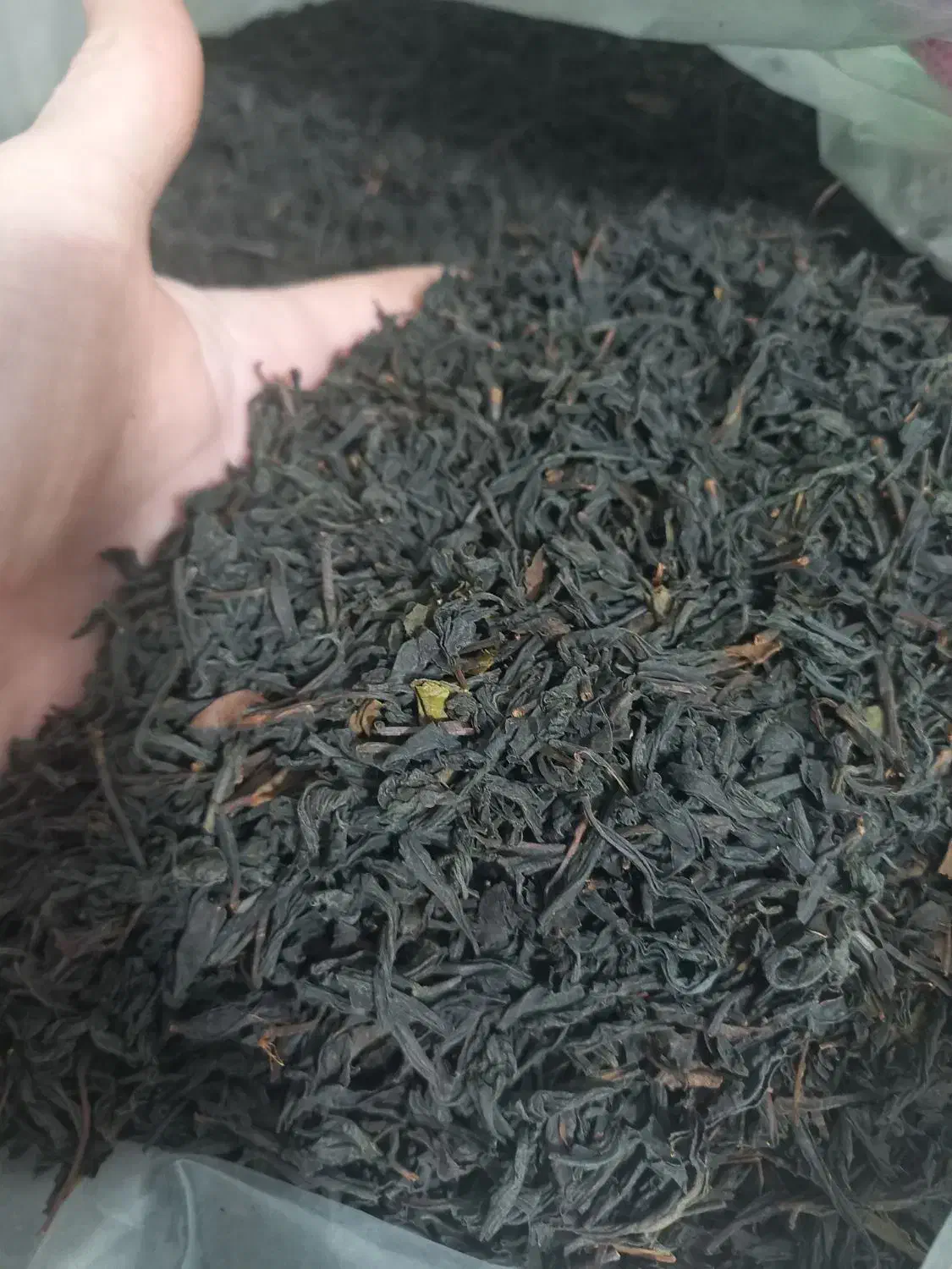 چای شمال|خوردنی و آشامیدنی|محمدشهر, شهرک پیام (مهرالبرز)|دیوار