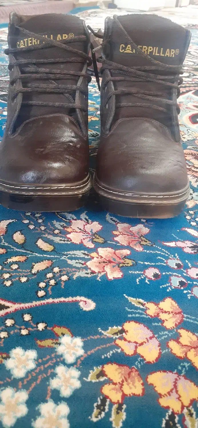 کفش|کیف، کفش، کمربند|بروجن, |دیوار