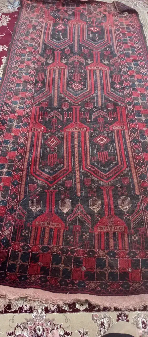 فرش دستباف|فرش|زاهدان, |دیوار