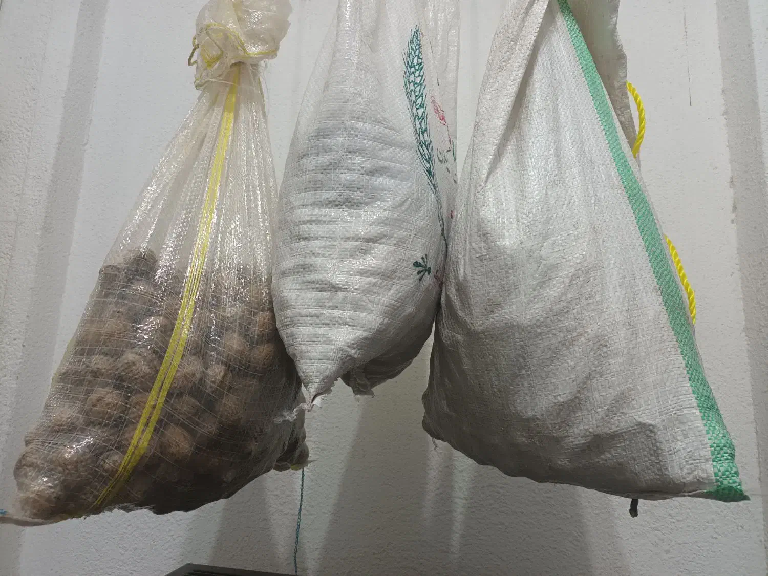 گردوی محلی تازه محصول خشک شده از رضوانشهر رسید.|خوردنی و آشامیدنی|رشت, پارک شهر|دیوار