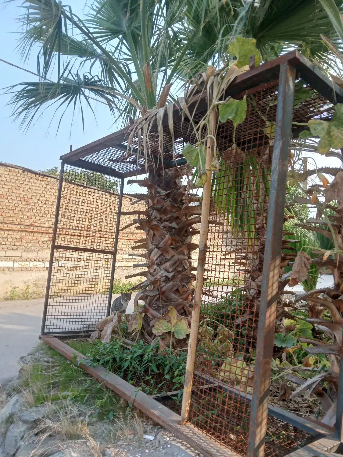 اتاق مزدا ۱۶۰۰|قطعات یدکی و لوازم جانبی|نوکنده, |دیوار